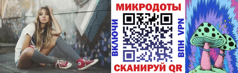 Псилоцибиновые грибы мицелий  купить наркотик  Елизово 