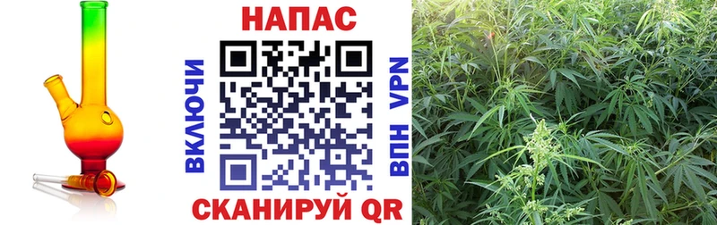 Шишки марихуана конопля  KRAKEN как войти  Елизово 